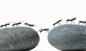 fe665884-cd77-4e9c-bb28-69b72b98d8f7-2060x1236