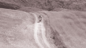 the-wind-will-carry-us