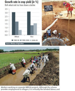 agriculture-ministry
