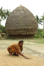 east-india-woman-working-with-grain1