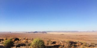 Last throw of the dice?