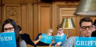 New kids on the block