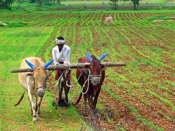 farmer-india