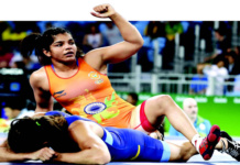 A Roller Coaster year